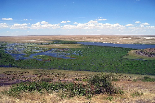 Kenia (219)